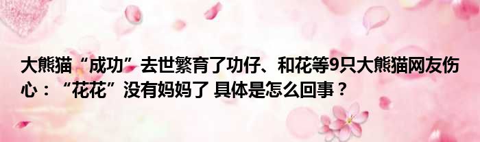 大熊猫“成功”去世繁育了功仔、和花等9只大熊猫网友伤心：“花花”没有妈妈了 具体是怎么回事？