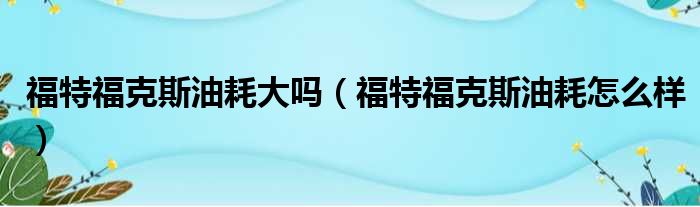 福特福克斯油耗大吗（福特福克斯油耗怎么样）