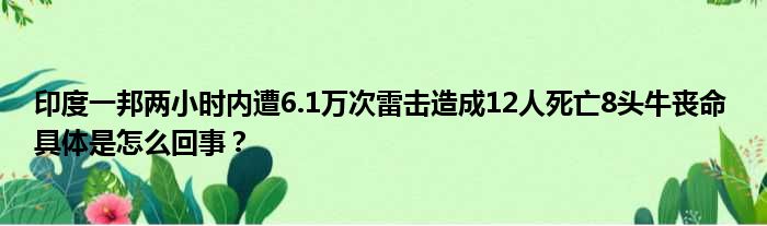 印度一邦两小时内遭6.1万次雷击造成12人死亡8头牛丧命 具体是怎么回事？