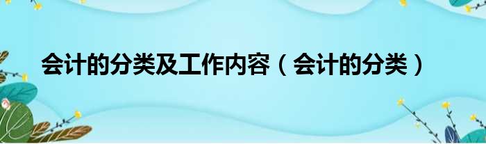 会计的分类及工作内容（会计的分类）