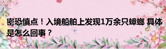 密恐慎点！入境船舶上发现1万余只蟑螂 具体是怎么回事？