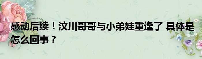 感动后续！汶川哥哥与小弟娃重逢了 具体是怎么回事？