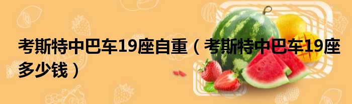 考斯特中巴车19座自重（考斯特中巴车19座多少钱）