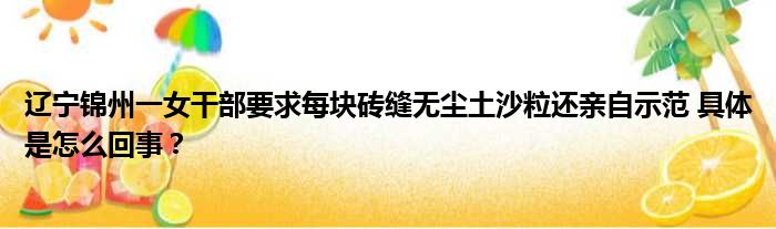 辽宁锦州一女干部要求每块砖缝无尘土沙粒还亲自示范 具体是怎么回事？