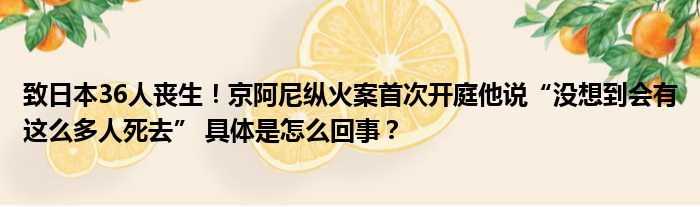 致日本36人丧生！京阿尼纵火案首次开庭他说“没想到会有这么多人死去” 具体是怎么回事？