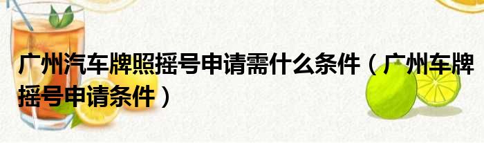 广州汽车牌照摇号申请需什么条件（广州车牌摇号申请条件）