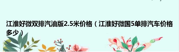 江淮好微双排汽油版2.5米价格（江淮好微国5单排汽车价格多少）