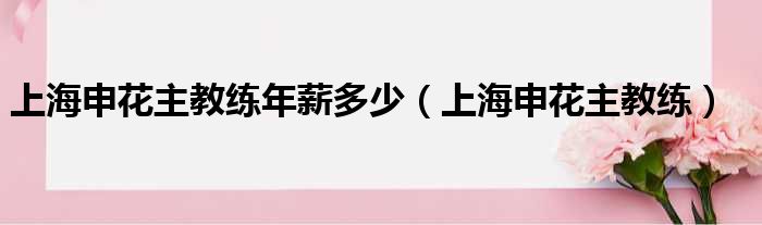 上海申花主教练年薪多少（上海申花主教练）