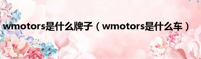 wmotors是什么牌子（wmotors是什么车）