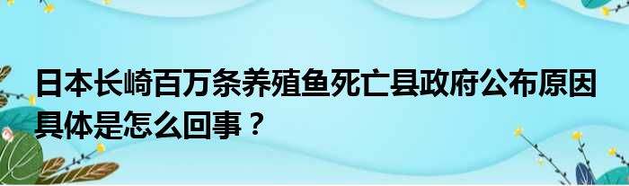 日本长崎百万条养殖鱼死亡县政府公布原因 具体是怎么回事？