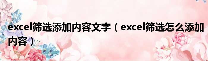 excel筛选添加内容文字（excel筛选怎么添加内容）