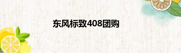 东风标致408团购