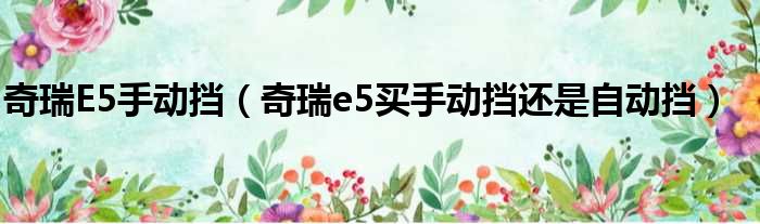 奇瑞E5手动挡（奇瑞e5买手动挡还是自动挡）