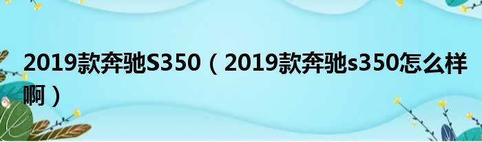 2019款奔驰S350（2019款奔驰s350怎么样啊）