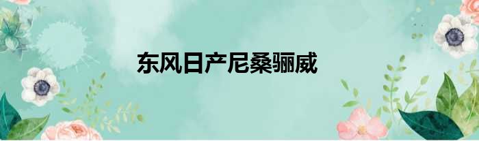 东风日产尼桑骊威