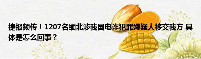 捷报频传！1207名缅北涉我国电诈犯罪嫌疑人移交我方 具体是怎么回事？