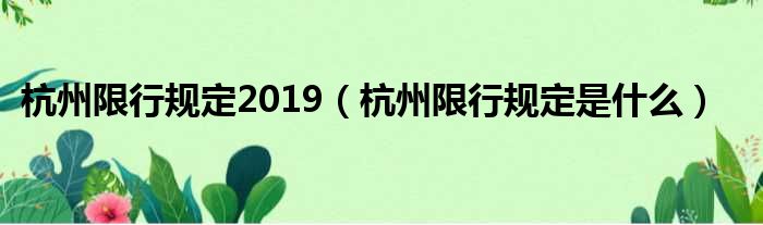 杭州限行规定2019（杭州限行规定是什么）