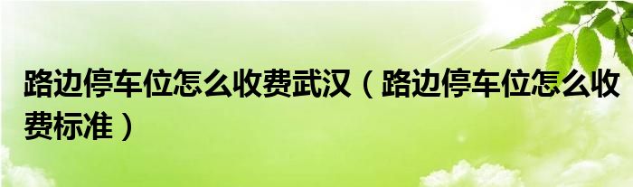 路边停车位怎么收费武汉（路边停车位怎么收费标准）