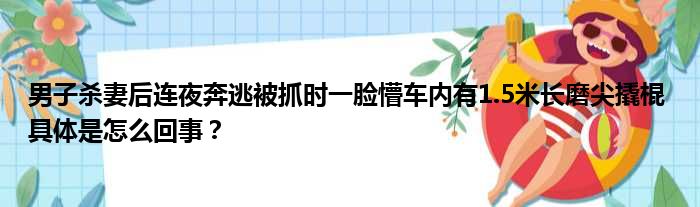 男子杀妻后连夜奔逃被抓时一脸懵车内有1.5米长磨尖撬棍 具体是怎么回事？