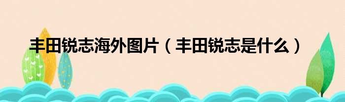 丰田锐志海外图片（丰田锐志是什么）