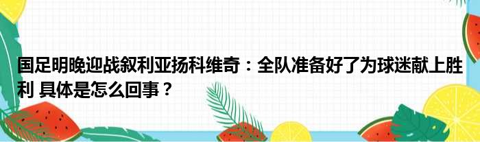 国足明晚迎战叙利亚扬科维奇：全队准备好了为球迷献上胜利 具体是怎么回事？