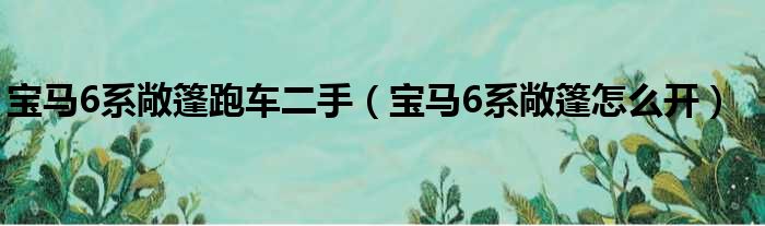 宝马6系敞篷跑车二手（宝马6系敞篷怎么开）