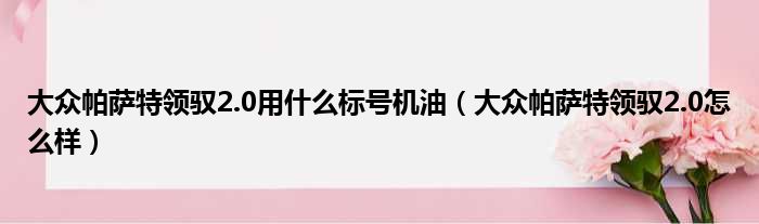 大众帕萨特领驭2.0用什么标号机油（大众帕萨特领驭2.0怎么样）