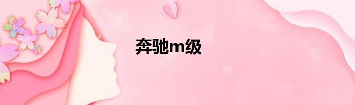 奔驰m级