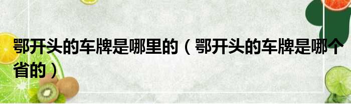 鄂开头的车牌是哪里的（鄂开头的车牌是哪个省的）