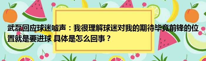 武磊回应球迷嘘声：我很理解球迷对我的期待毕竟前锋的位置就是要进球 具体是怎么回事？