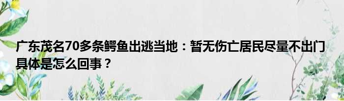 广东茂名70多条鳄鱼出逃当地：暂无伤亡居民尽量不出门 具体是怎么回事？