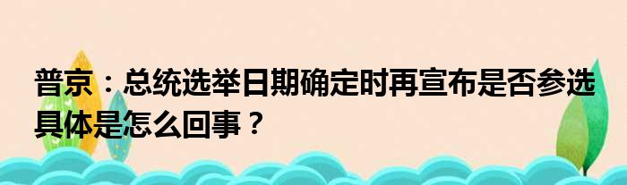 普京：总统选举日期确定时再宣布是否参选 具体是怎么回事？