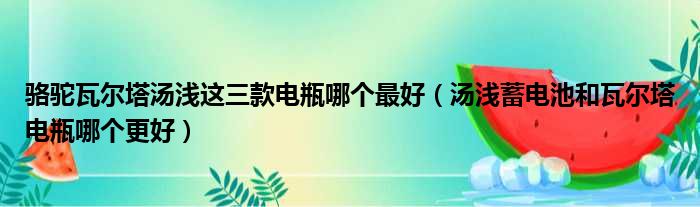 骆驼瓦尔塔汤浅这三款电瓶哪个最好（汤浅蓄电池和瓦尔塔电瓶哪个更好）