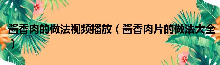 酱香肉的做法视频播放（酱香肉片的做法大全）