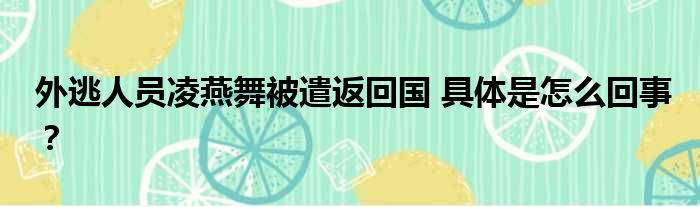 外逃人员凌燕舞被遣返回国 具体是怎么回事？