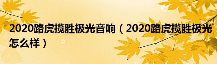 2020路虎揽胜极光音响（2020路虎揽胜极光怎么样）