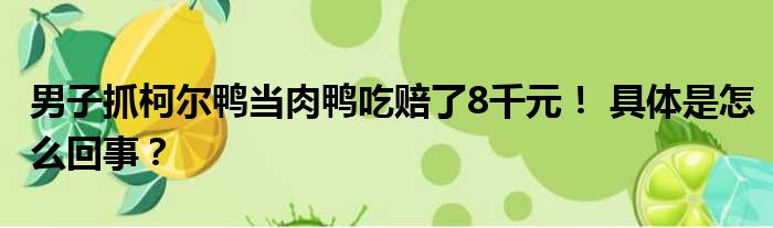 男子抓柯尔鸭当肉鸭吃赔了8千元！ 具体是怎么回事？