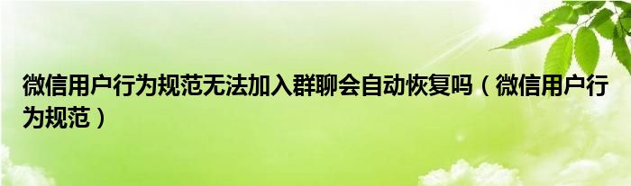 微信用户行为规范无法加入群聊会自动恢复吗（微信用户行为规范）