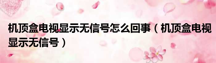 机顶盒电视显示无信号怎么回事（机顶盒电视显示无信号）