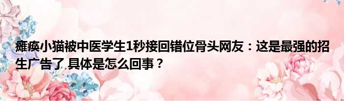 瘫痪小猫被中医学生1秒接回错位骨头网友：这是最强的招生广告了 具体是怎么回事？