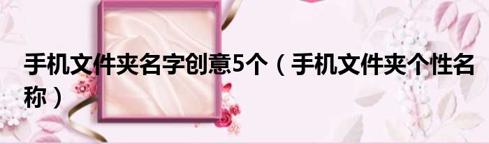 手机文件夹名字创意5个（手机文件夹个性名称）