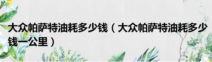 大众帕萨特油耗多少钱（大众帕萨特油耗多少钱一公里）