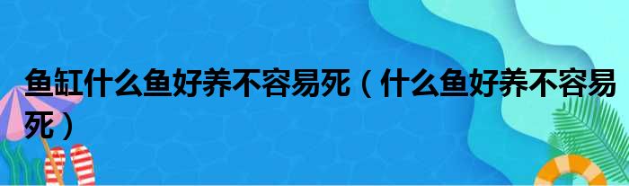 鱼缸什么鱼好养不容易死（什么鱼好养不容易死）