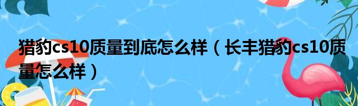 猎豹cs10质量到底怎么样（长丰猎豹cs10质量怎么样）