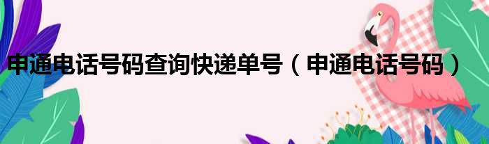 申通电话号码查询快递单号（申通电话号码）