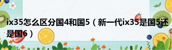 ix35怎么区分国4和国5（新一代ix35是国5还是国6）