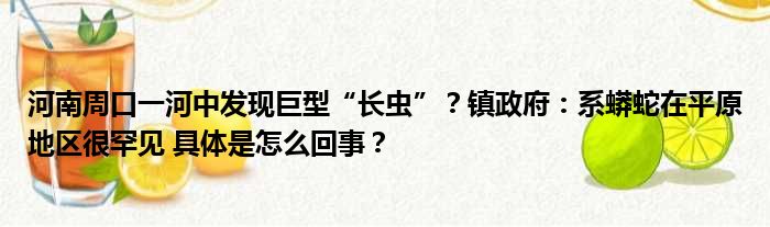 河南周口一河中发现巨型“长虫”？镇政府：系蟒蛇在平原地区很罕见 具体是怎么回事？