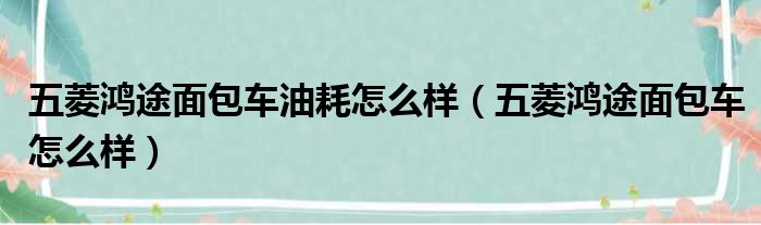 五菱鸿途面包车油耗怎么样（五菱鸿途面包车怎么样）