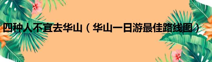 四种人不宜去华山（华山一日游最佳路线图）