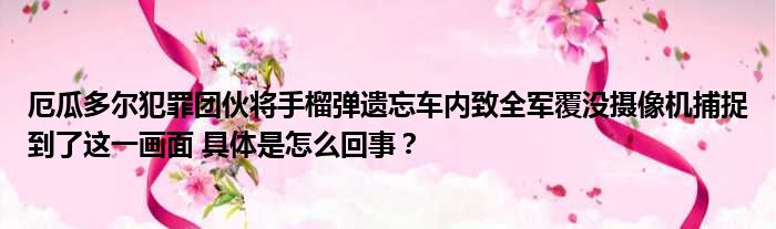 厄瓜多尔犯罪团伙将手榴弹遗忘车内致全军覆没摄像机捕捉到了这一画面 具体是怎么回事？